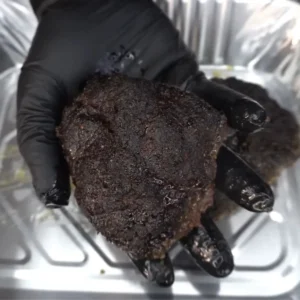 smoked beef cheeks
